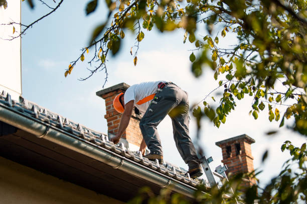 Best Gutter Installation and Roofing  in Butner, NC